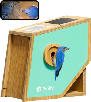 Birdfy Smart Bird House with Camera