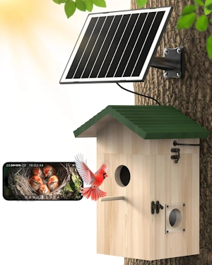 KinetCam Bird House with Camera Solar Powered