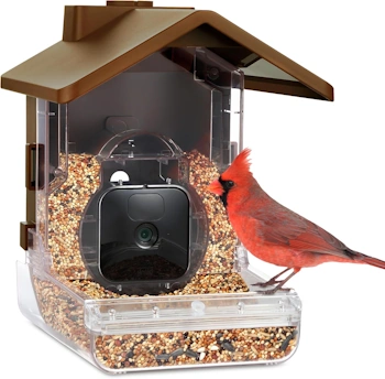 Wasserstein Bird Feeder Camera Case Compatible with Blink