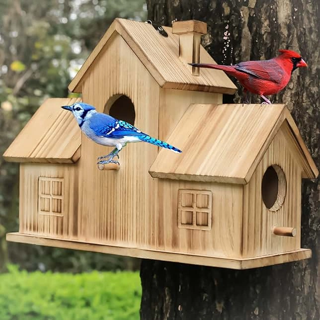 Best Birdhouse Reviews Top Picks 2026