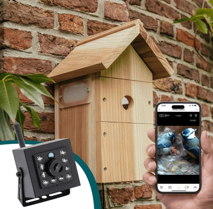 Best Birdhouse with Camera