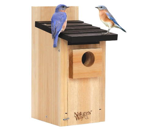 Nature's Way Bird