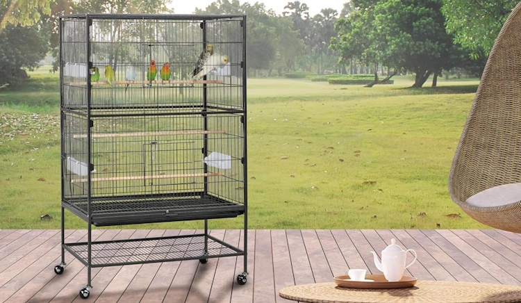 Keeping 4 Budgies in One Cage