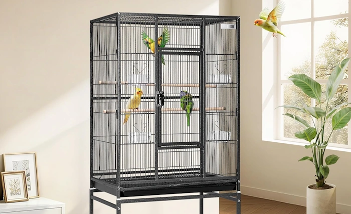 Parakeet Cage Size for 2