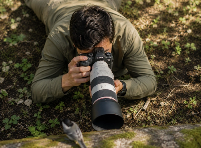 What to Look for in a Bird Camera